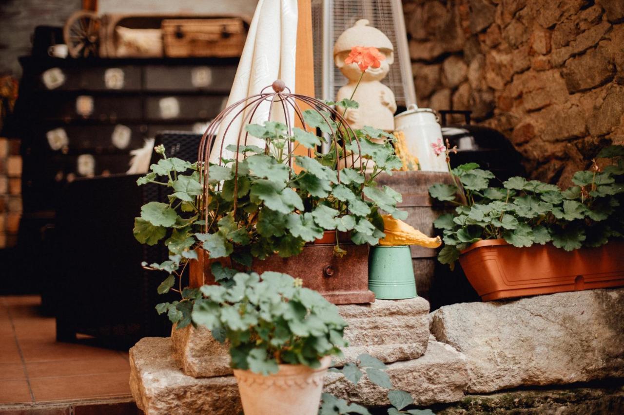 Apartamento Strieborny Dvor Banská Štiavnica Exterior foto